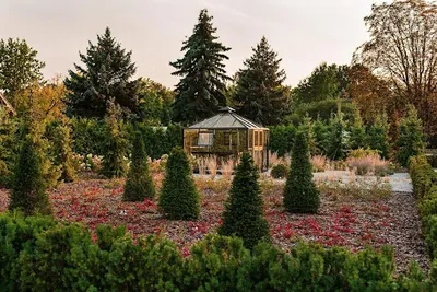 GAMA Ogrody projektowanie ogrodów, budowa ogrodu, usługi ogrodnicze i nawadnianie ogrodów